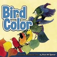Bird Color (Board book) - Alison Hill Spencer Photo