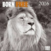 Born Free 2016 (Calendar) - George Logan Photo