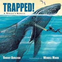 Trapped! - A Whale's Rescue (Hardcover) - Robert Burleigh Photo