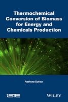 Thermochemical Conversion of Biomass for the Production of Energy and Chemicals (Hardcover) - Anthony Dufour Photo