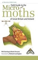 Field Guide to the Micro-Moths of Great Britain and Ireland (Paperback) - Phil Sterling Photo
