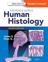 Stevens & Lowe's Human Histology (Paperback, 4th Revised edition) - James S Lowe Photo