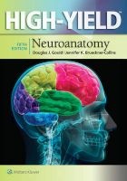 High-Yield Neuroanatomy (Paperback, 5th Revised edition) - Douglas J Gould Photo