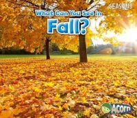 What Can You See in Fall? (Paperback) - Sian Smith Photo