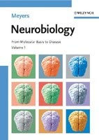 Neurobiology - From Molecular Basis to Disease (Hardcover) - Robert A Meyers Photo