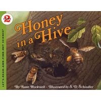 Honey in A Hive (Paperback) - Anne Rockwell Photo