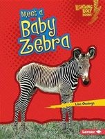 Meet a Baby Zebra (Hardcover) - Lisa Owings Photo