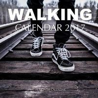 Walking Calendar 2017 - 16 Month Calendar (Paperback) - David Mann Photo