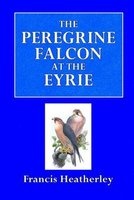 The Peregrine Falcon at the Eyrie (Paperback) - Francis Heatherley Photo