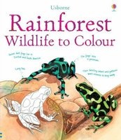 Rainforest Wildlife to Colour (Paperback) - Susan Meredith Photo