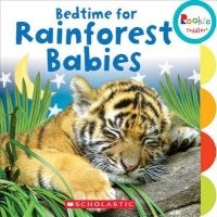 Bedtime for Rainforest Babies (Board book) -  Photo