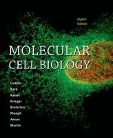 Molecular Cell Biology (Hardcover, 8th Revised edition) - Harvey Lodish Photo