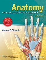 Anatomy - A Regional Atlas of the Human Body (Paperback, 6th revised North American ed) - Carmine D Clemente Photo