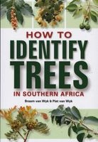 How to Identify Trees in Southern Africa (Paperback) - Braam van Wyk Photo