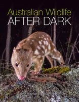 Australian Wildlife After Dark (Paperback) - Bruce Thomson Photo
