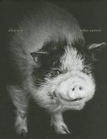  - Other Animals (Hardcover) - Elliot Ross Photo