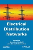 Electrical Distribution Networks (Hardcover) - Nouredine Hadjsaid Photo