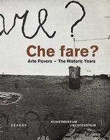 Che Fare? - Arte Povera - The Historic Years (Hardcover) - Friedemann Malsch Photo
