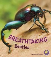 Breathtaking Beetles (Hardcover) - Catherine Ipcizade Photo
