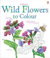 Wild Flowers to Colour (Paperback) - Susan Meredith Photo
