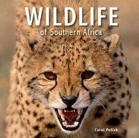 Wildlife of Southern Africa (Paperback) - Carol Polich Photo