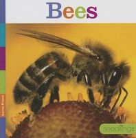 Bees (Hardcover) - Aaron Frisch Photo