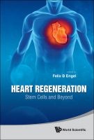 Heart Regeneration - Stem Cells and Beyond (Hardcover) - Felix B Engel Photo