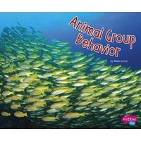 Animal Group Behavior (Paperback) - Abbie Dunne Photo