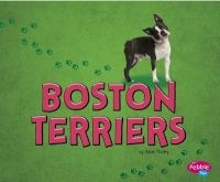 Boston Terriers (Hardcover) - Allan Morey Photo
