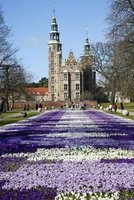 The King's Garden in Spring Rosenborg Castle Copenhagen Denmark Journal - 150 Page Lined Notebook/Diary (Paperback) - Cs Creations Photo