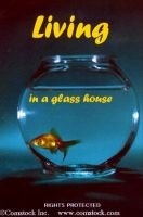 Living in a Glass House - Surviving the Scrutiny of Ministry and Marriage (Paperback) - Donald Harvey Photo