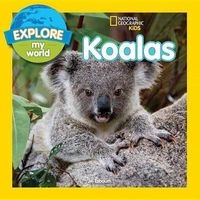 Explore My World Koalas (Paperback) - Jill Esbaum Photo