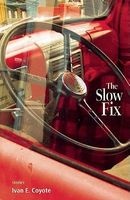 The Slow Fix (Paperback) - Ivan E Coyote Photo