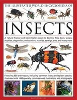 The Illustrated World Encyclopaedia of Insects - A Natural History and Identification Guide to Beetles, Flies, Bees Wasps, Springtails, Mayflies, Stoneflies, Dragonflies, Damselflies, Cockroaches, Mantids, Earwigs ... and Many More (Hardcover) - Martin Wa Photo