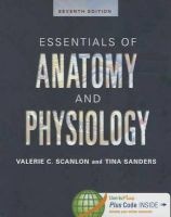 Essentials of Anatomy and Physiology (Paperback, 7th edition) - Valerie C Scanlon Photo