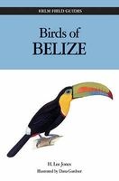 Birds of Belize (Paperback) - H Lee Jones Photo