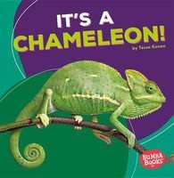 It's a Chameleon! (Paperback) - Tessa Kenan Photo