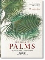 Martius. The Book of Palms (English, French, German, Hardcover) - H Walter Lack Photo