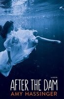 After the Dam (Paperback) - Amy Hassinger Photo