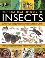 The Natural History of Insects - A Guide to the World of Arthropods, Covering Many Insects Orders, Including Beetles, Flies, Stick Insects, Dragonflies, Ants and Wasps, as Well as Microscopic Creatures (Paperback) - Martin Walters Photo