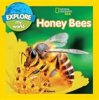 Explore My World: Honey Bees (Hardcover) - Jill Esbaum Photo