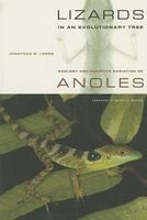 Lizards in an Evolutionary Tree - Ecology and Adaptive Radiation of Anoles (Paperback) - Jonathan B Losos Photo