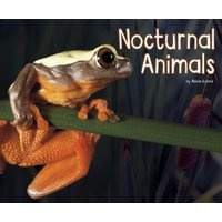 Nocturnal Animals (Hardcover) - Abbie Dunne Photo