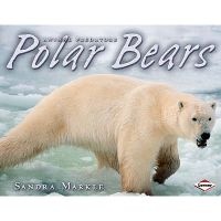 Polar Bears (Paperback) - Sandra Markle Photo