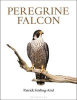Peregrine Falcon (Paperback) - Patrick Stirling Aird Photo