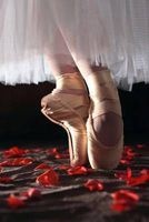 A Ballerina En Pointe on a Bed of Rose Petals Dance Journal - 150 Page Lined Notebook/Diary (Paperback) - Cs Creations Photo