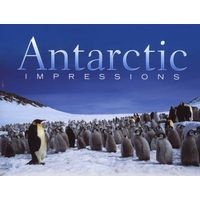 Antarctic Impressions - Seasons in the Southern Ocean (Hardcover) - Peter Steyn Photo