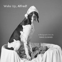 Wake Up, Alfred! - A Photographic Story (Board book) - David Ellwand Photo