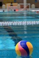 Water Polo Ball and Pool Sports Journal - 150 Page Lined Notebook/Diary (Paperback) - Cs Creations Photo