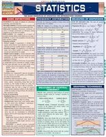 Statistics Laminate Reference Chart - Parameters, Variables, Intervals, Proportions (Poster) - BarCharts Inc Photo